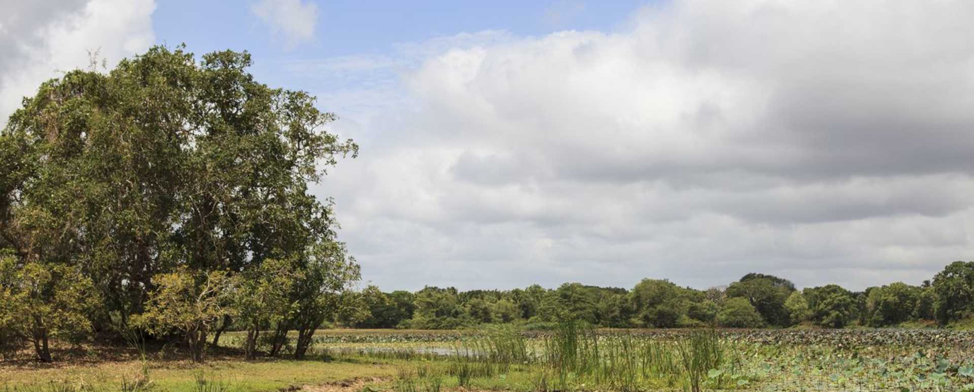 Landscape - The Mudhouse