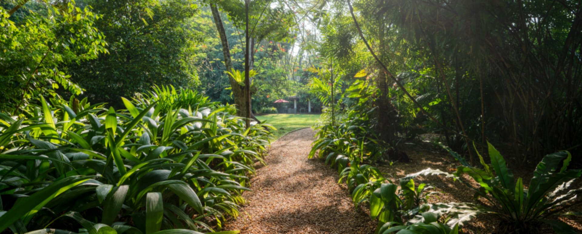 Path 