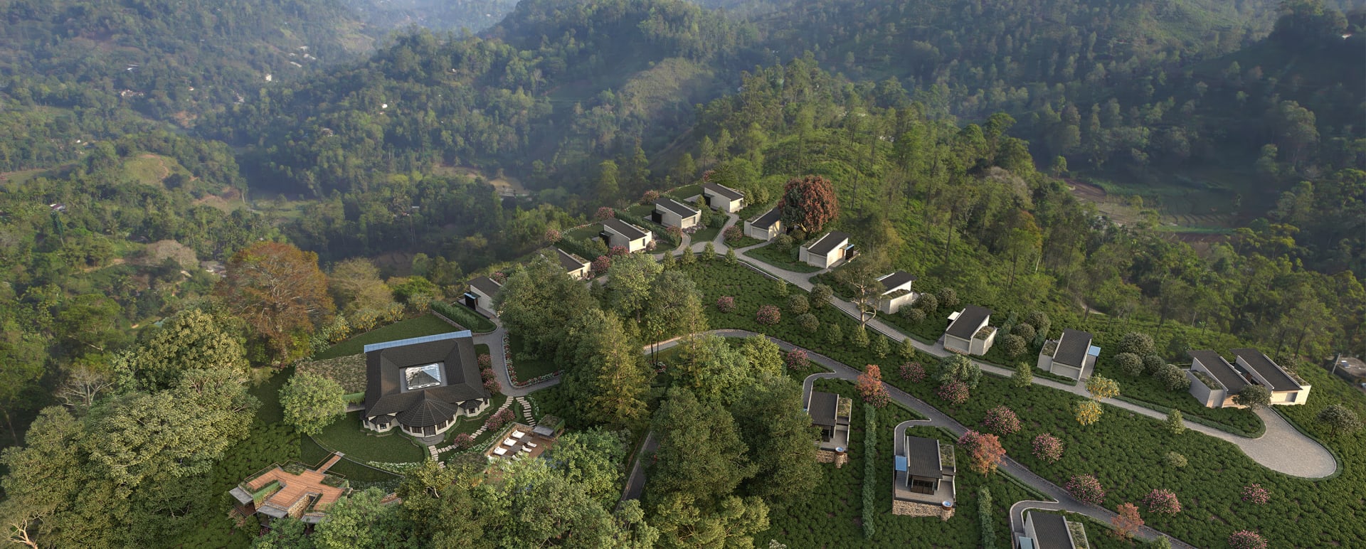 Arial View 
