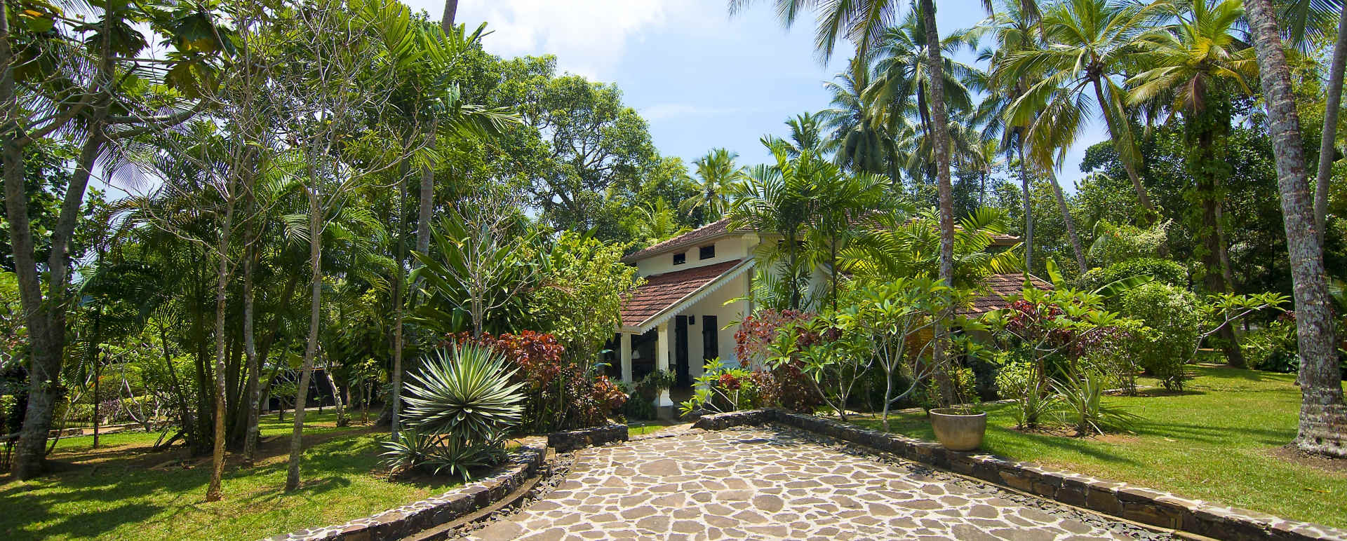 Exteriors - Why House