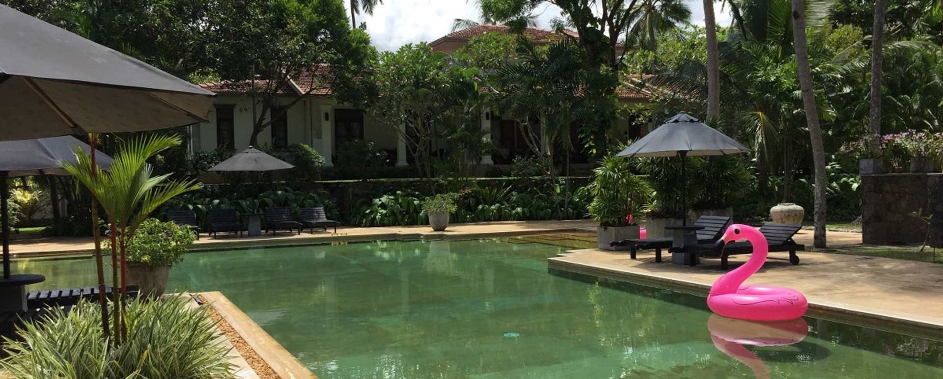 Pool - Why House