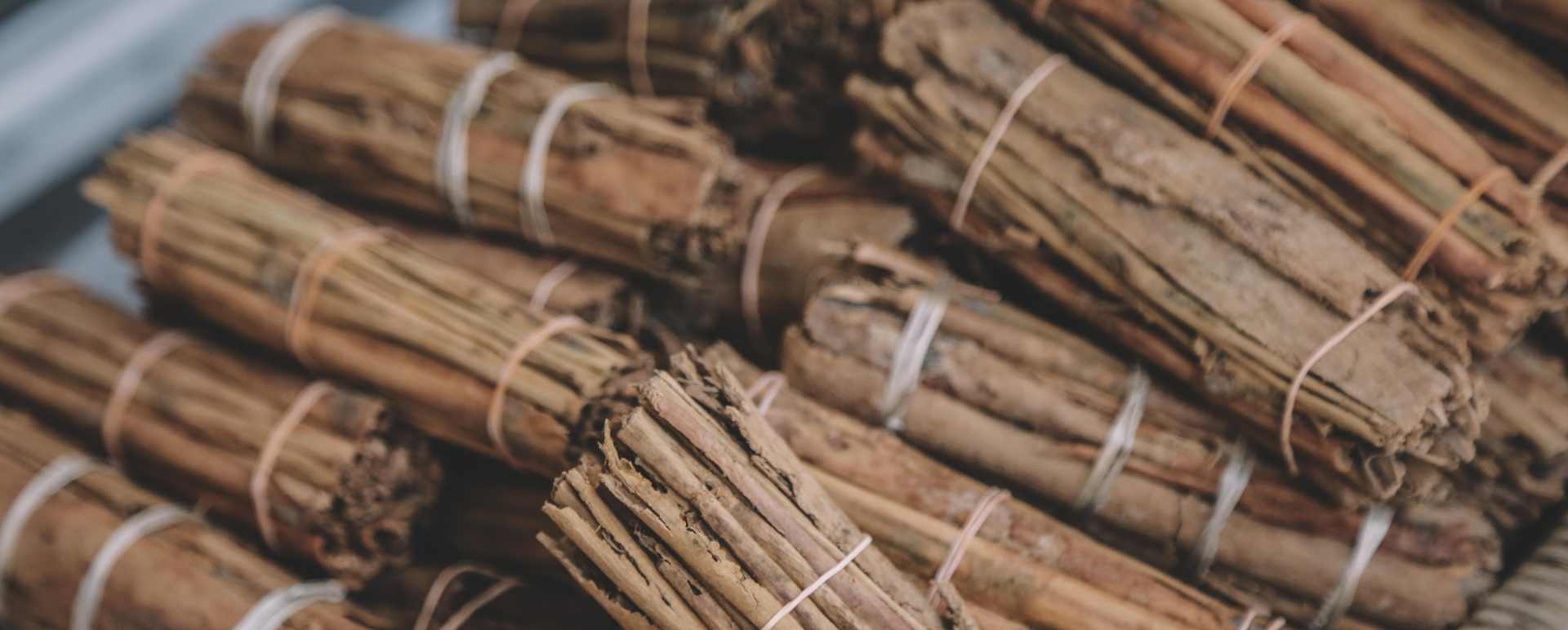 Visit a Cinnamon Plantation Sri Lanka