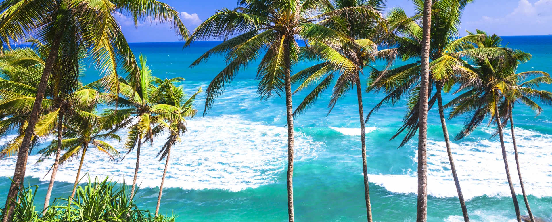Coastline in Sri Lanka 