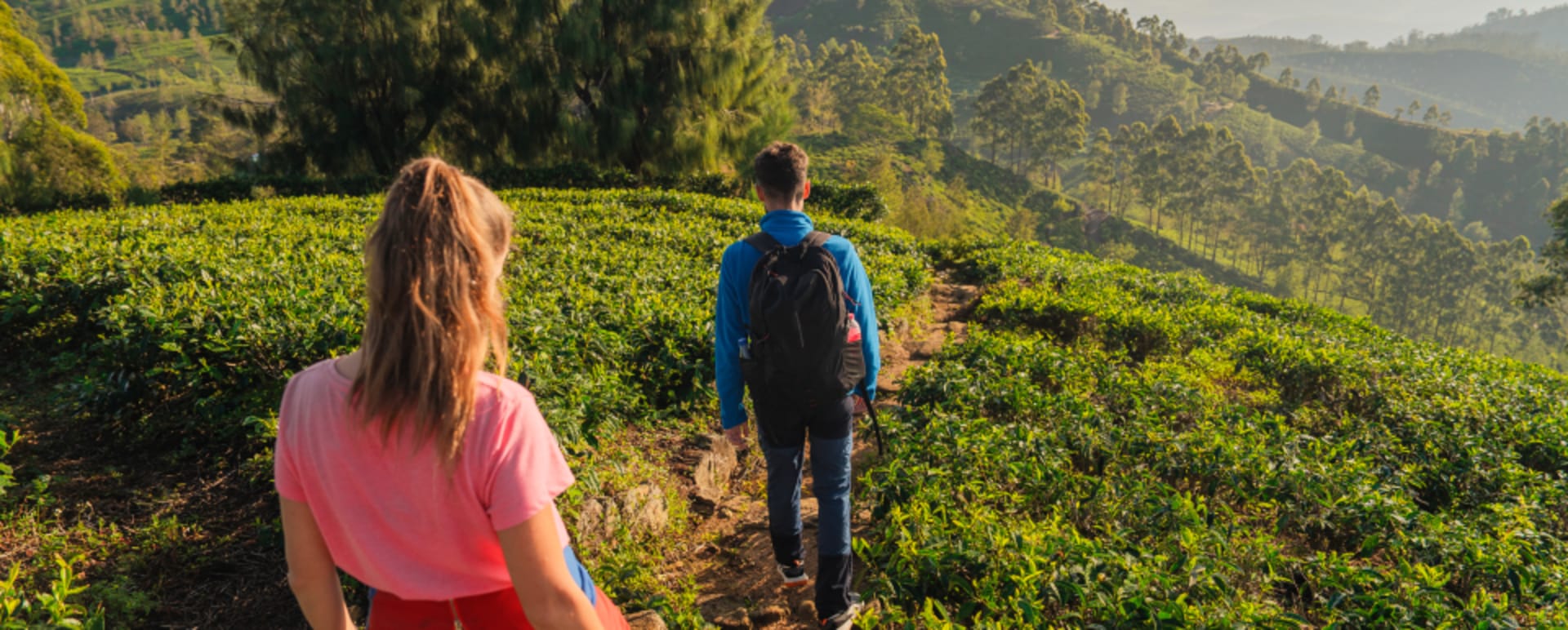 Hiking in the tea country 
