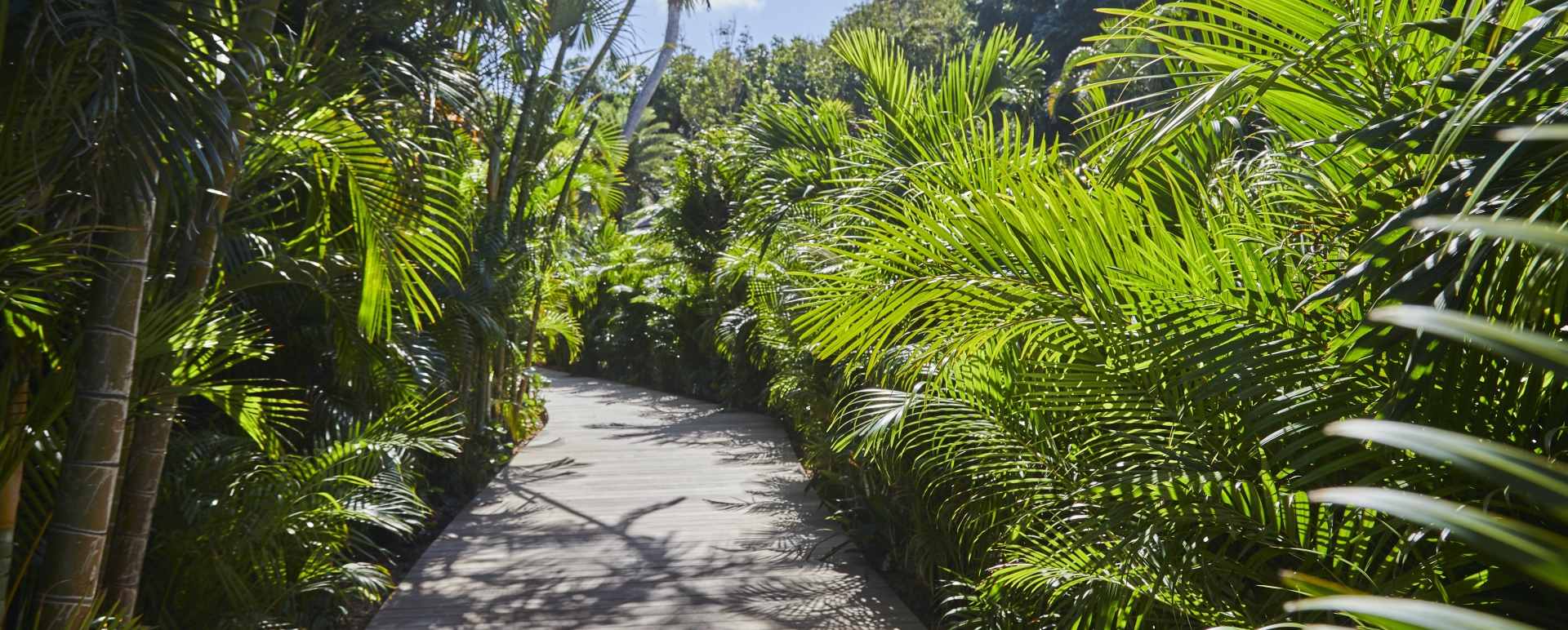 Deck in tropical gardens 