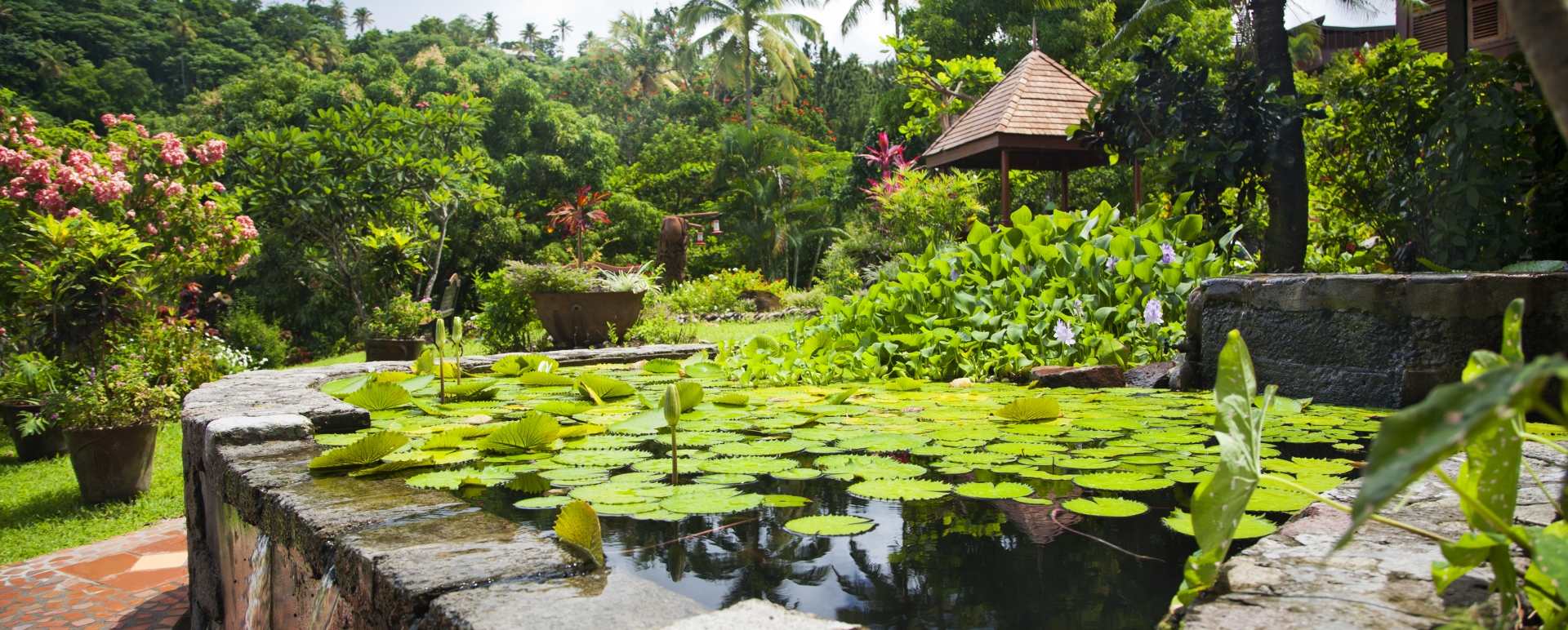 Gardens - Ladera