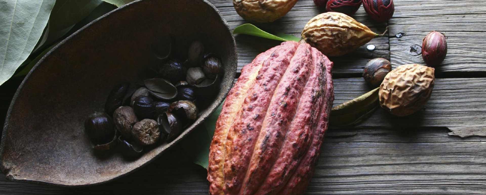 Caribbean Culinary Odyssey St Lucia Grenada
