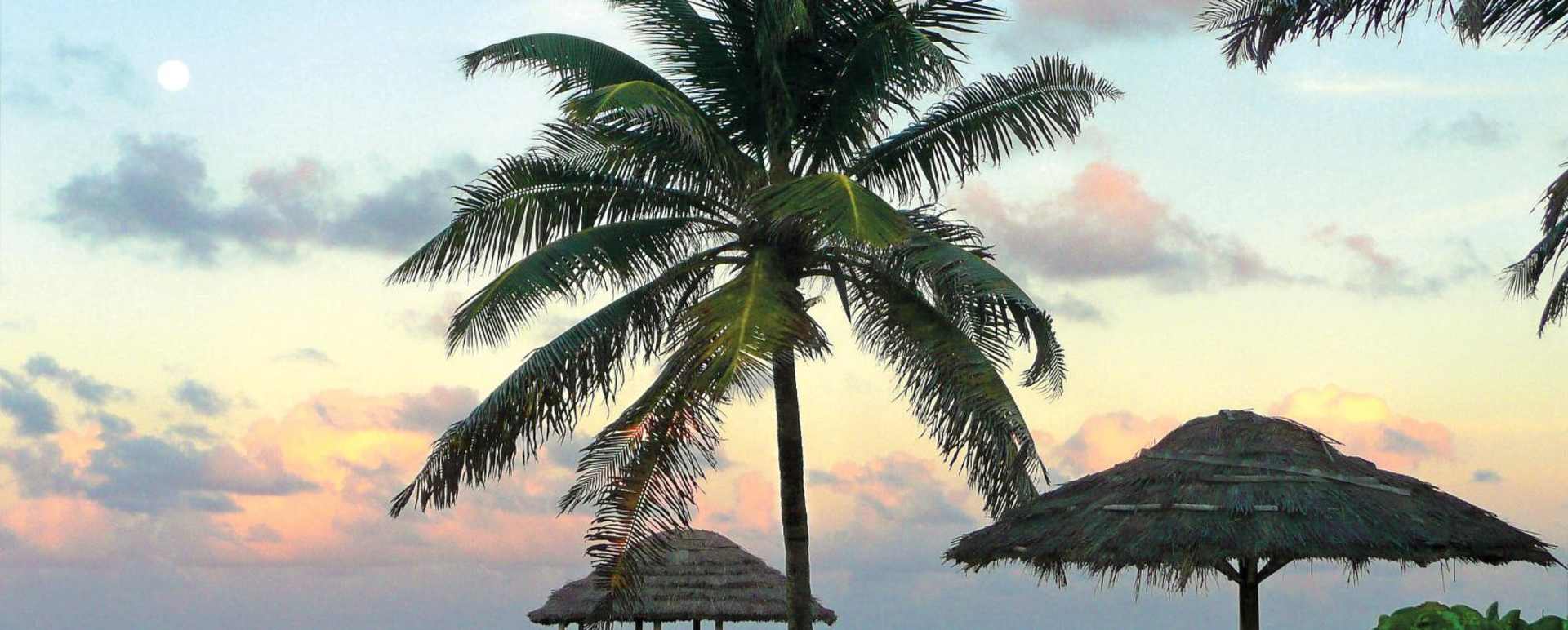 Island Picnic -Petit St Vincent