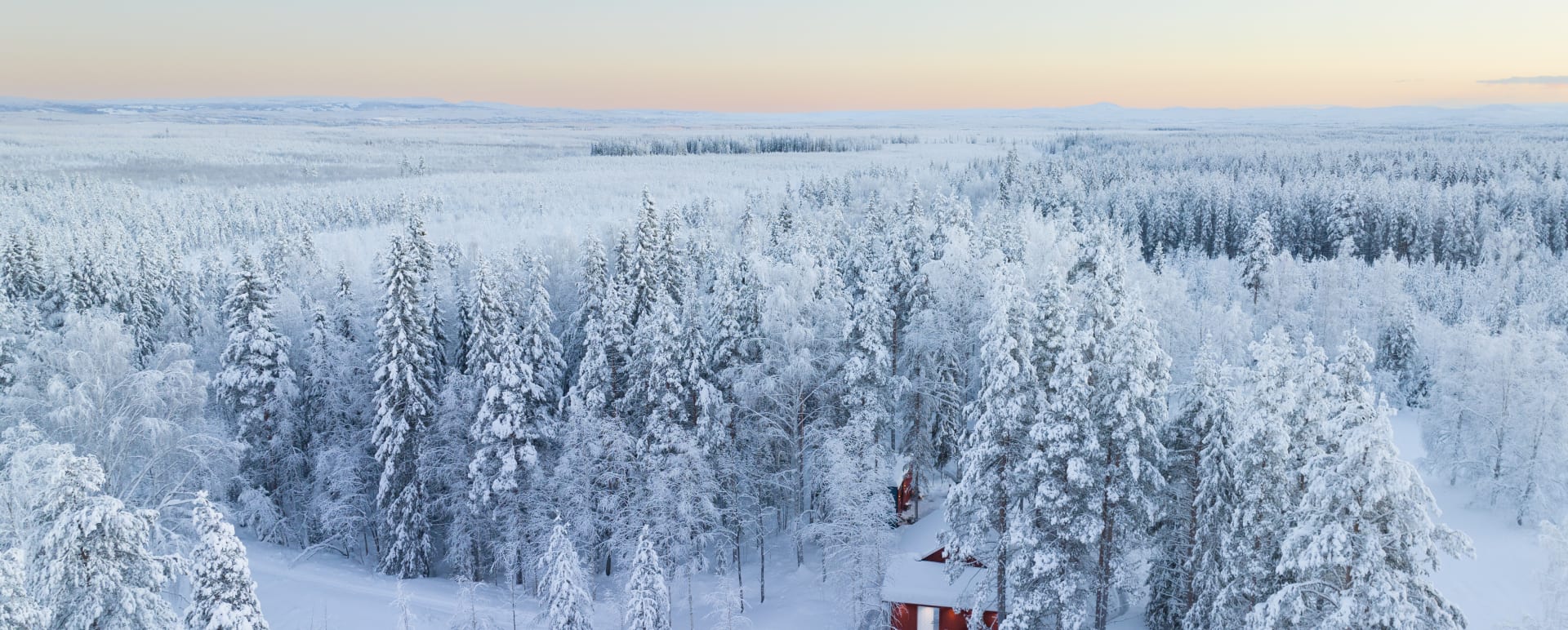 Drone Photo  