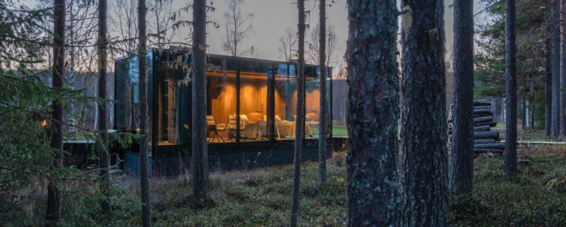 Pod in the Forest  