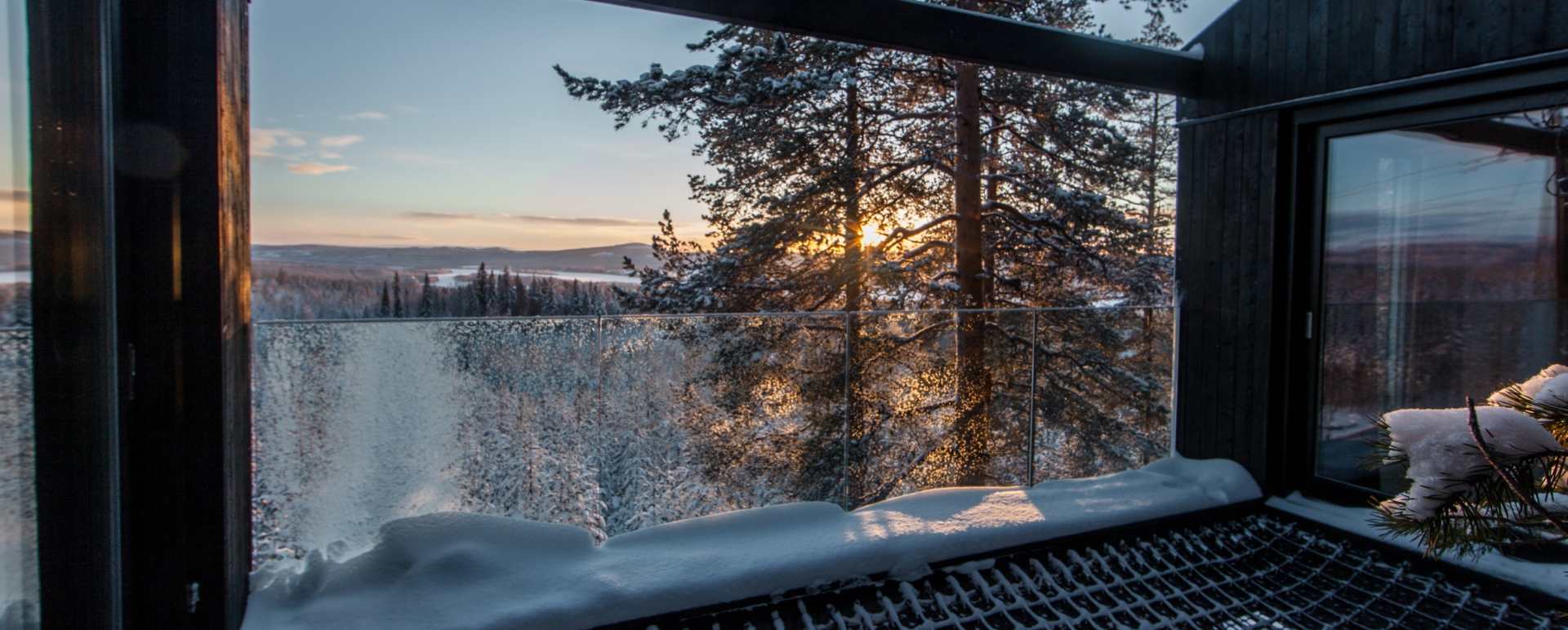 View from The 7th Room - Treehotel