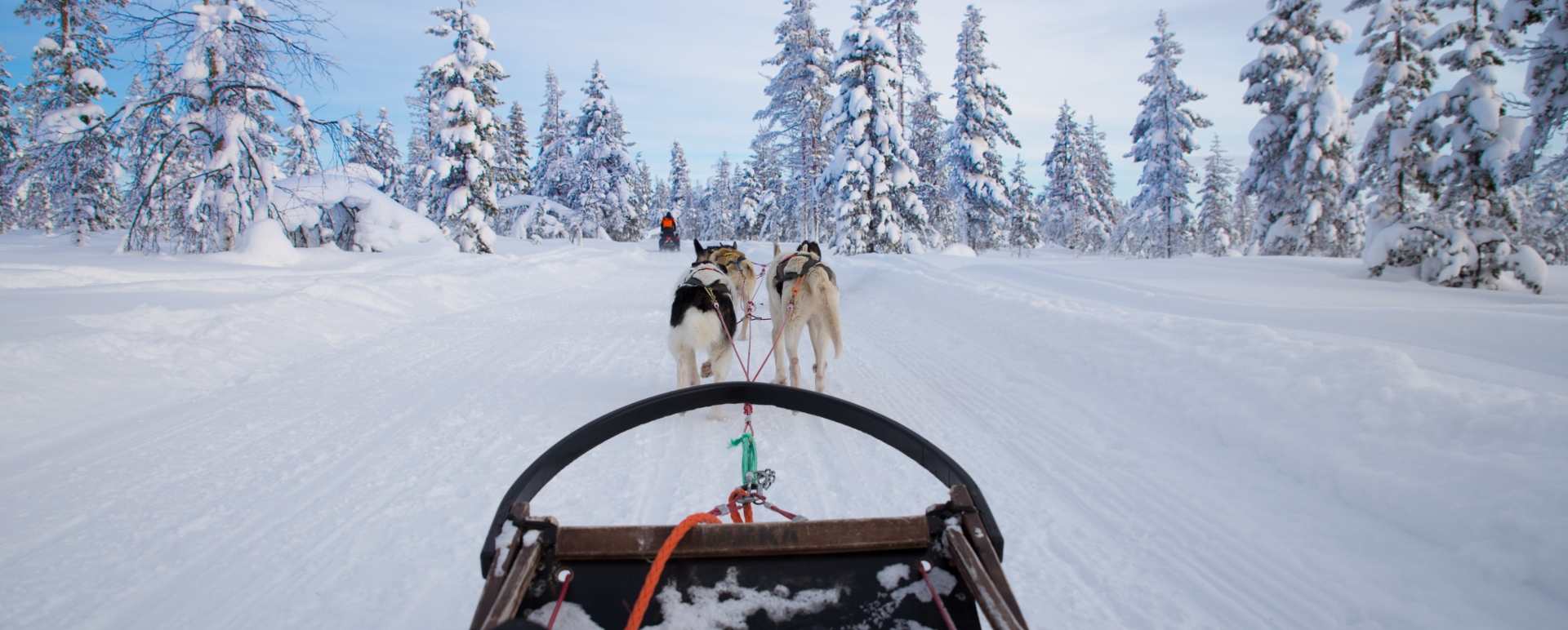 Husky Sledding in Swedish Lapland