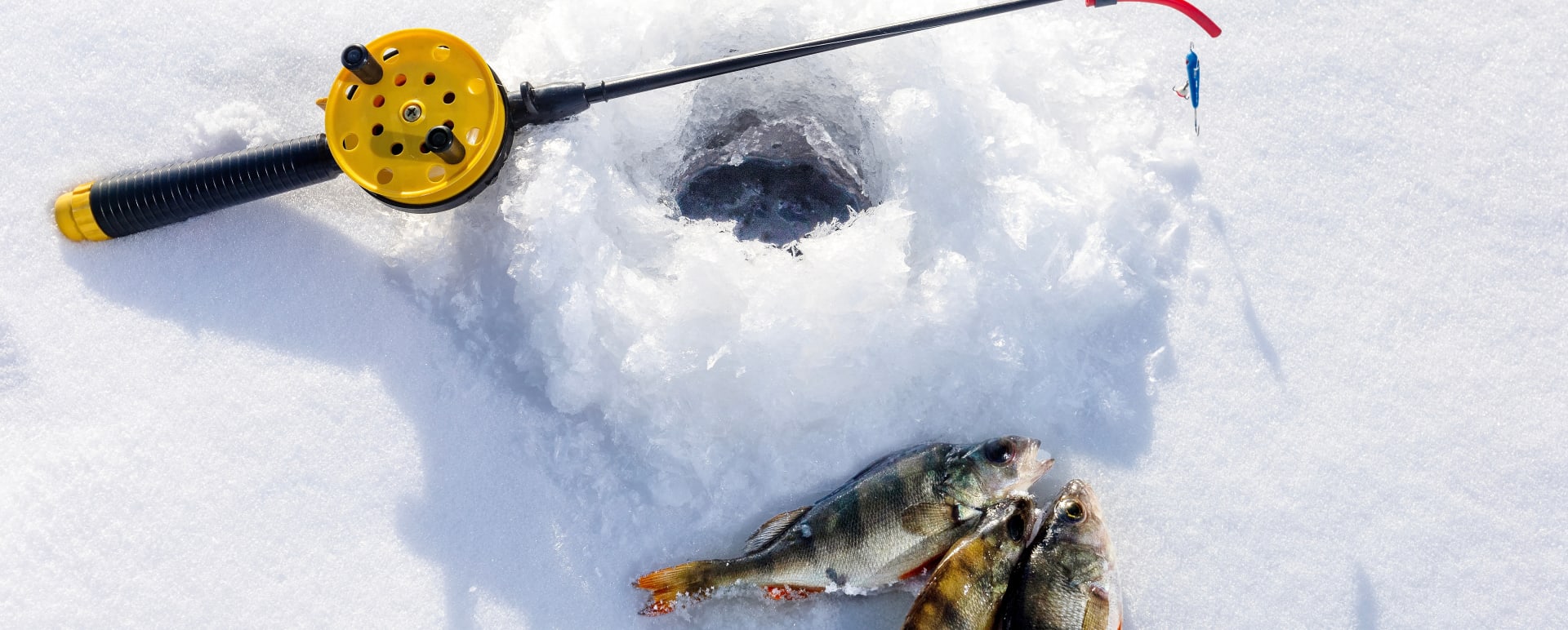Ice fishing at the Treehotel