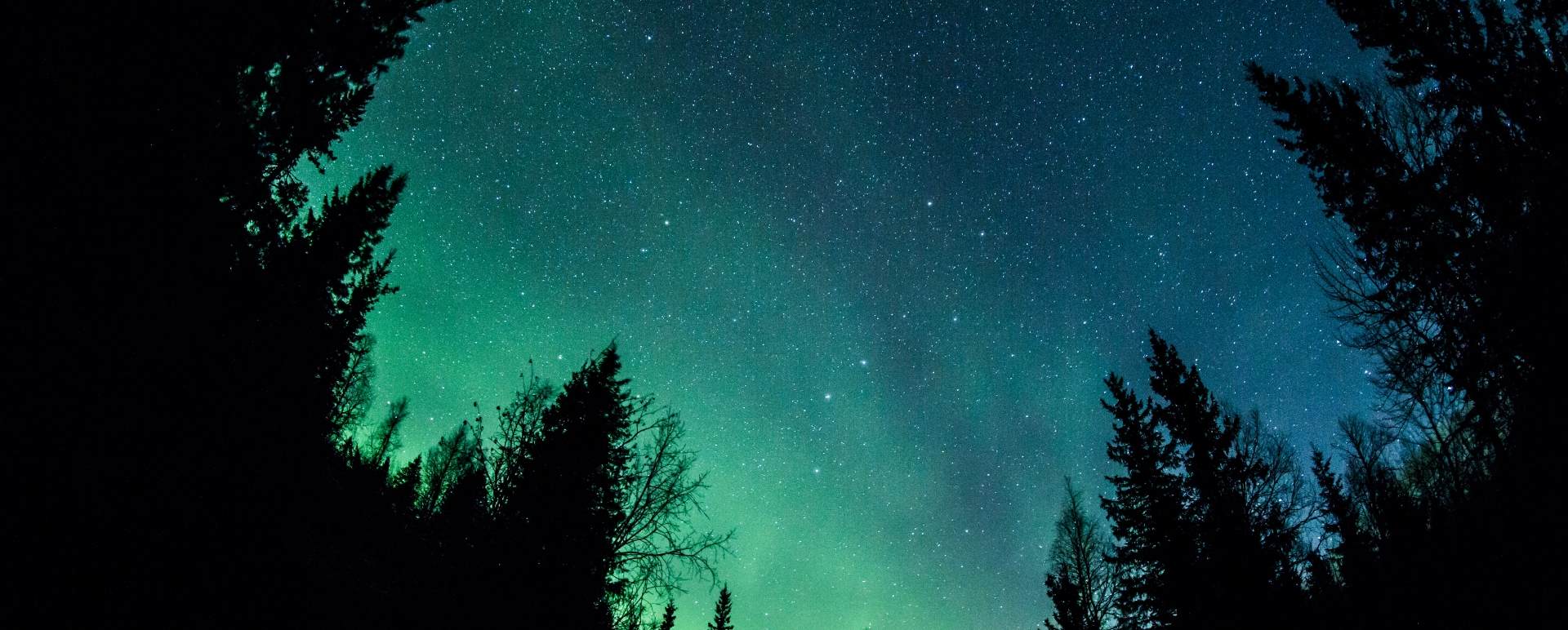 Northern Lights Safari at Sorbyn Lodge