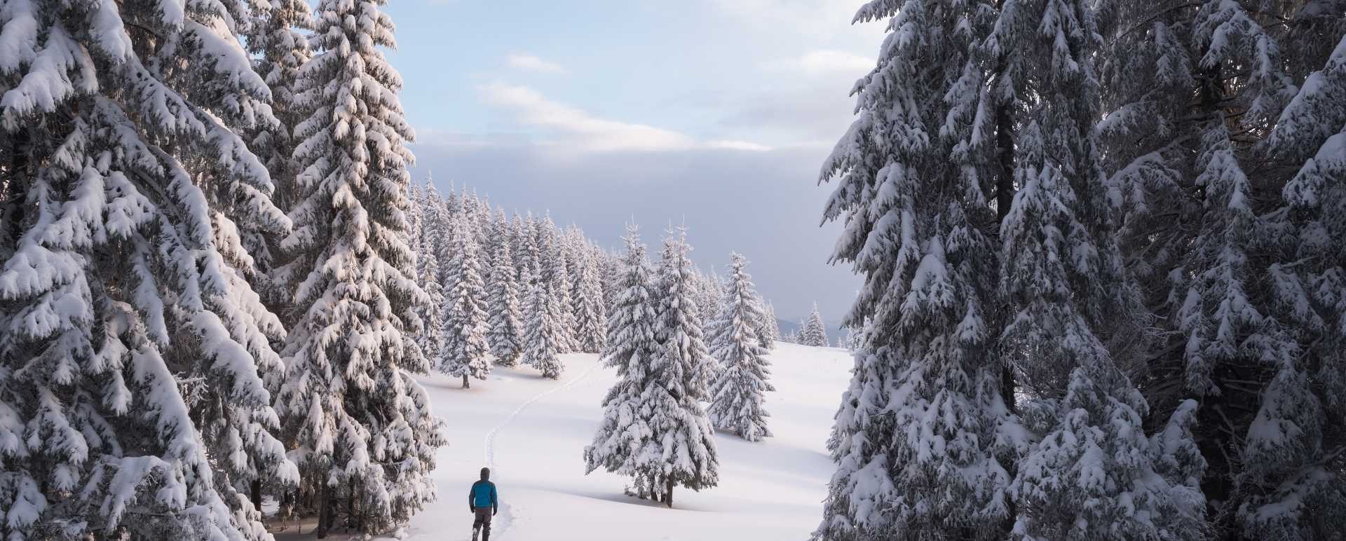 Snowshoe Walk at Loggers Lodge