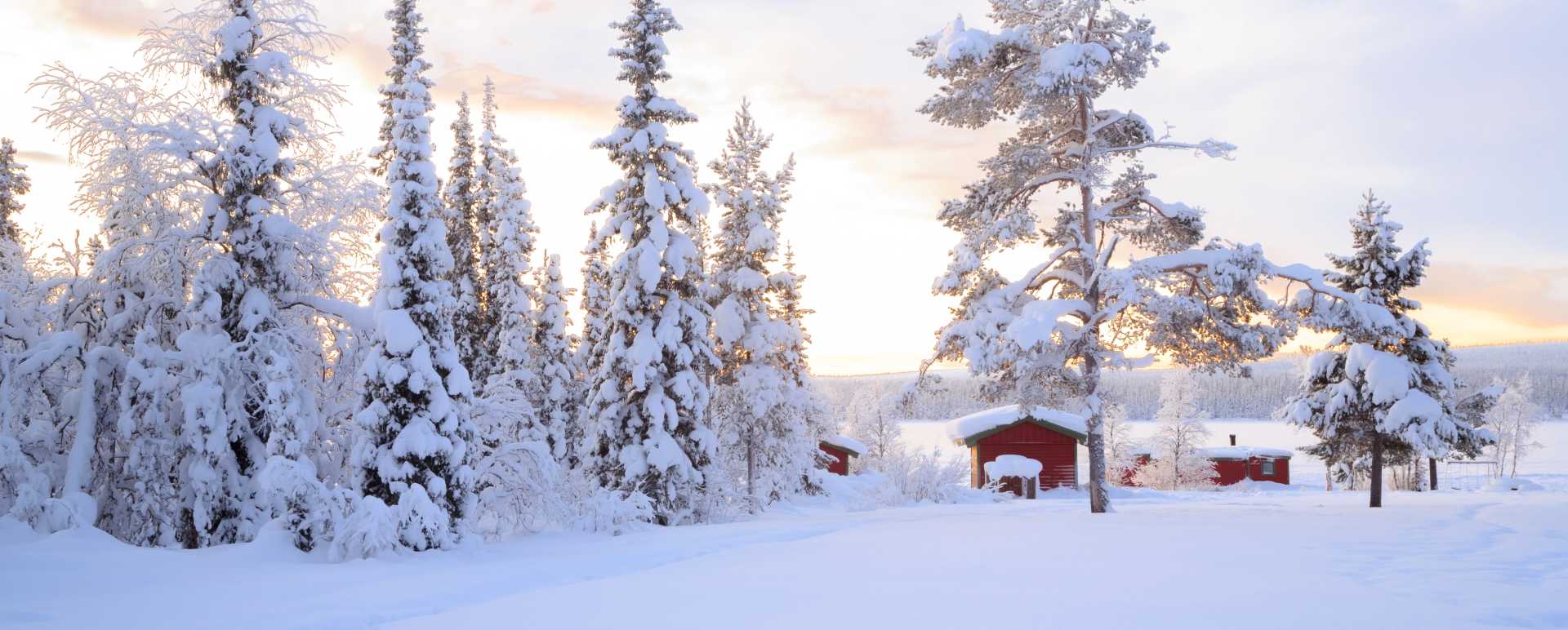 Lappish scenery - Swedish Lapland for families