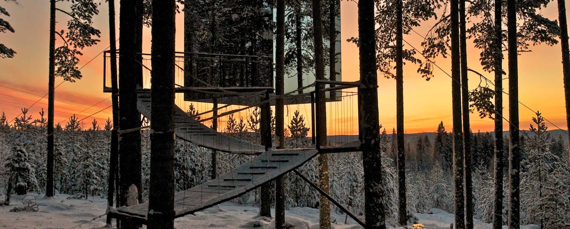 The Treehotel