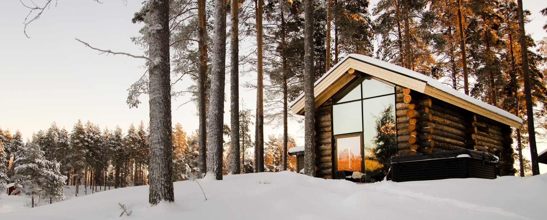 Arctic Retreat 