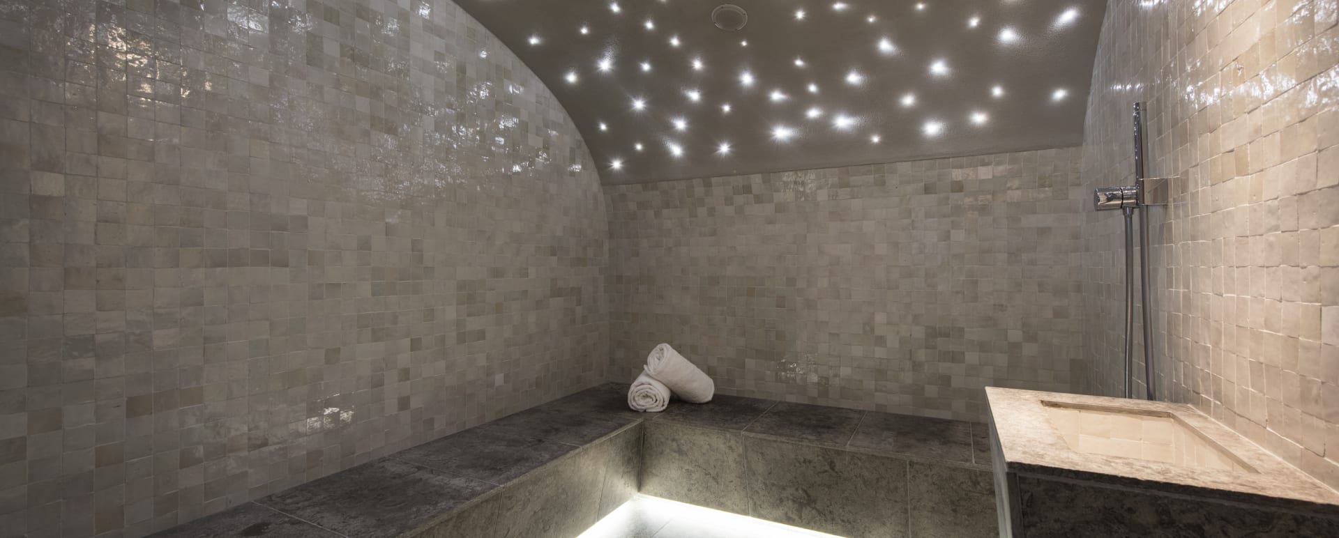 Sauna/Steam room 