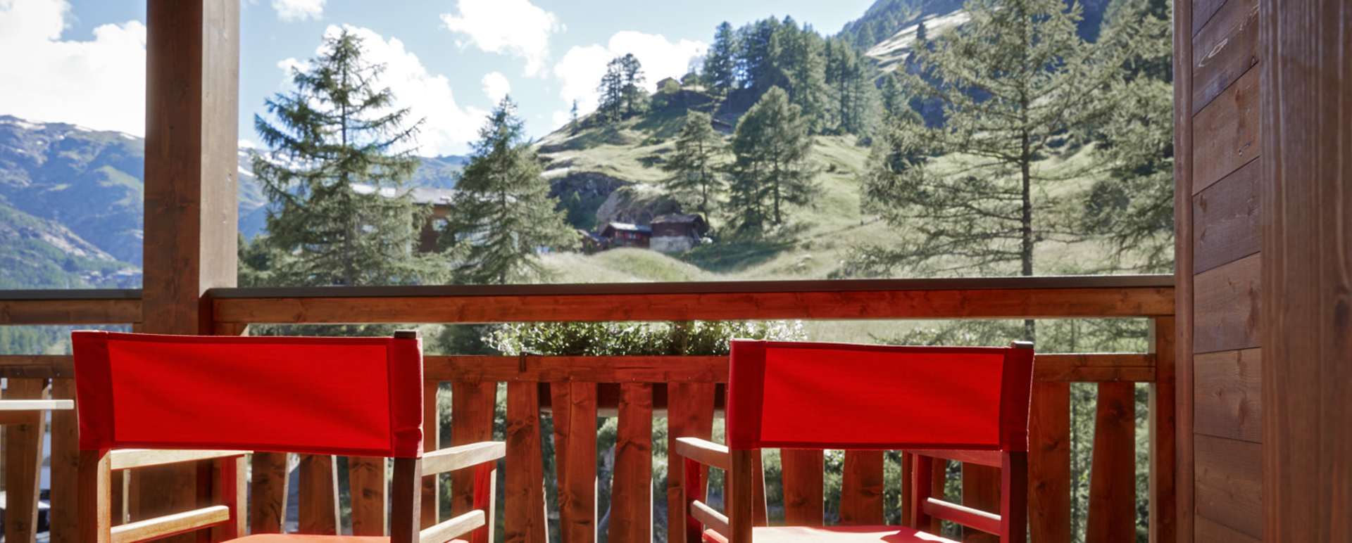View in the summer - La Vue