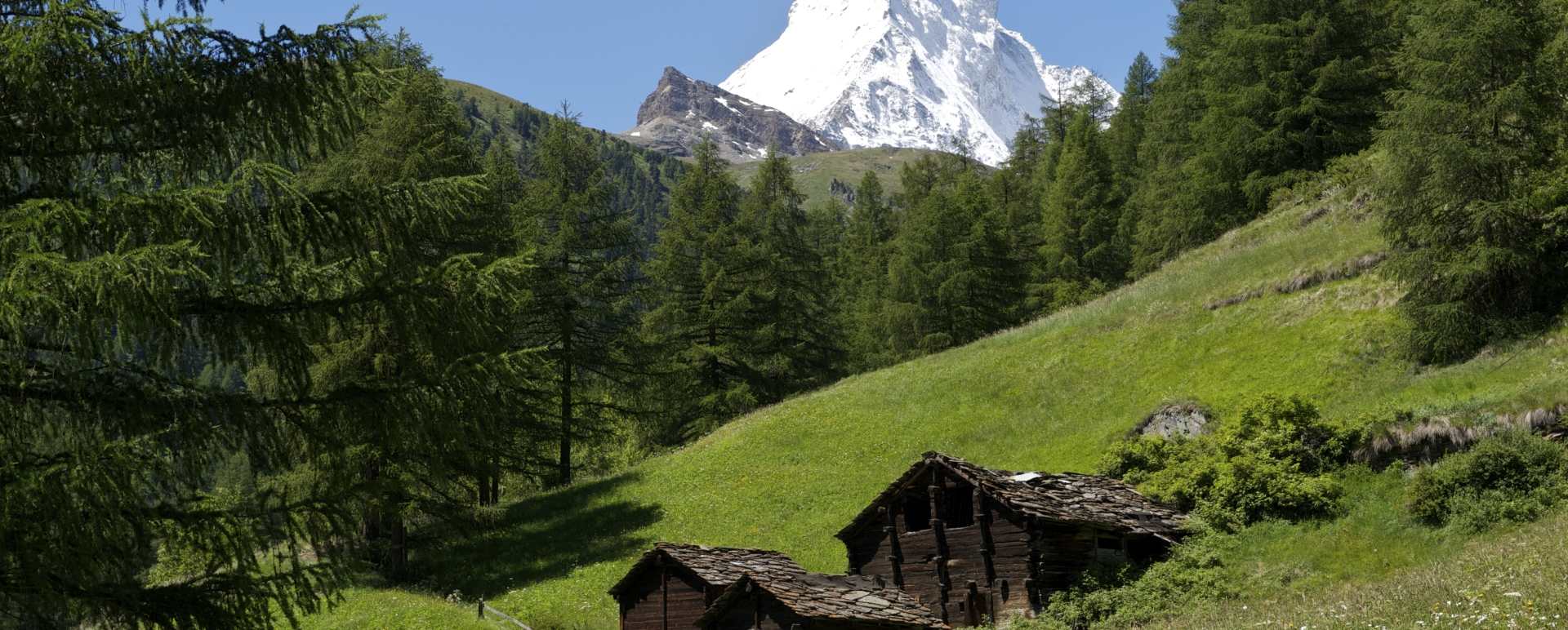 Matterhorn View 