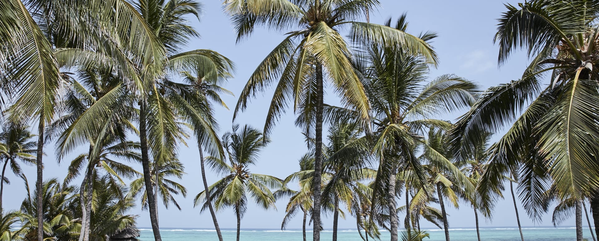 Beach view 