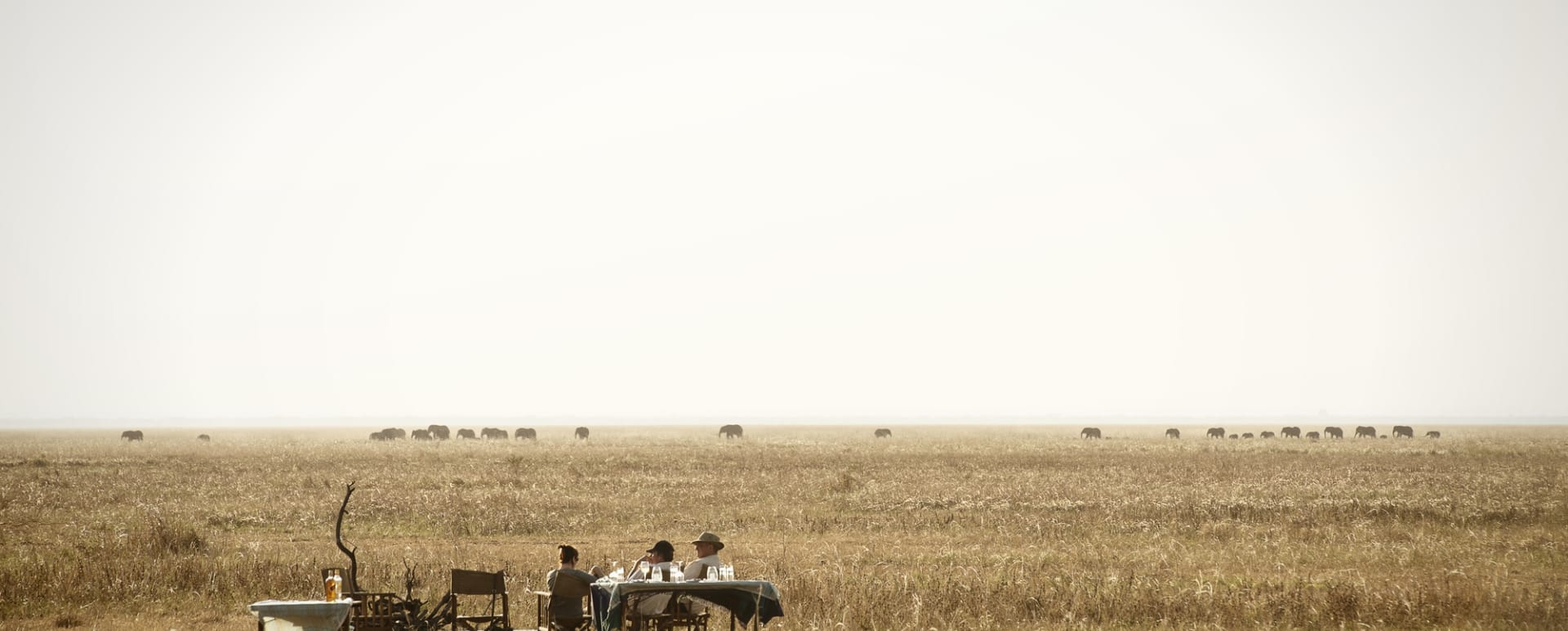 Bush dinner  