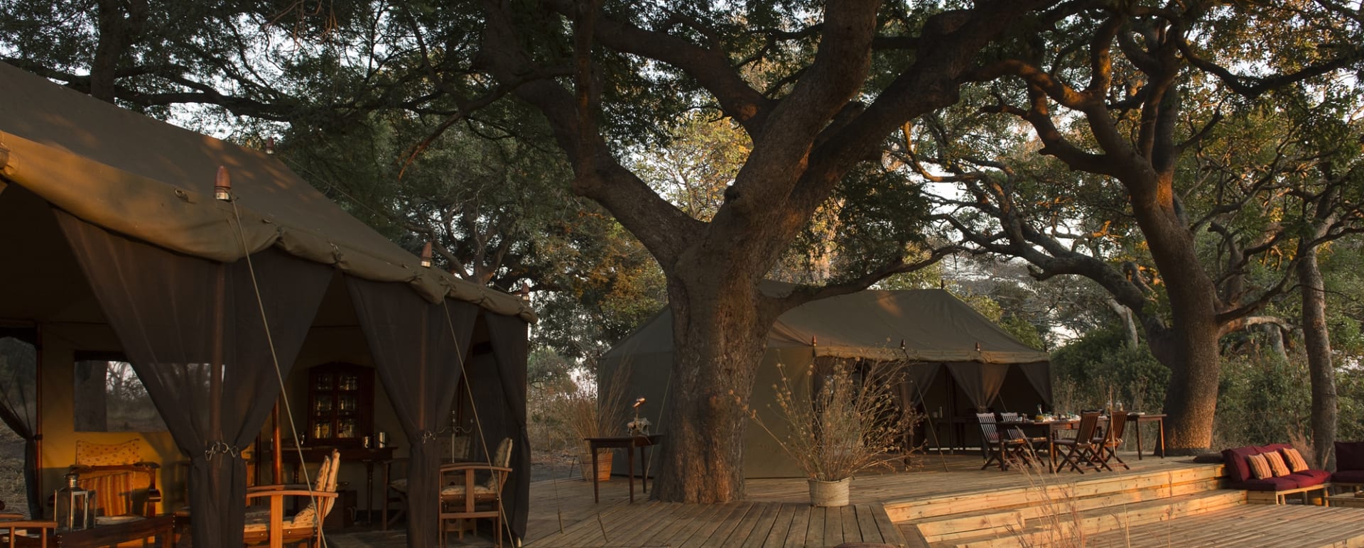 Main Camp 