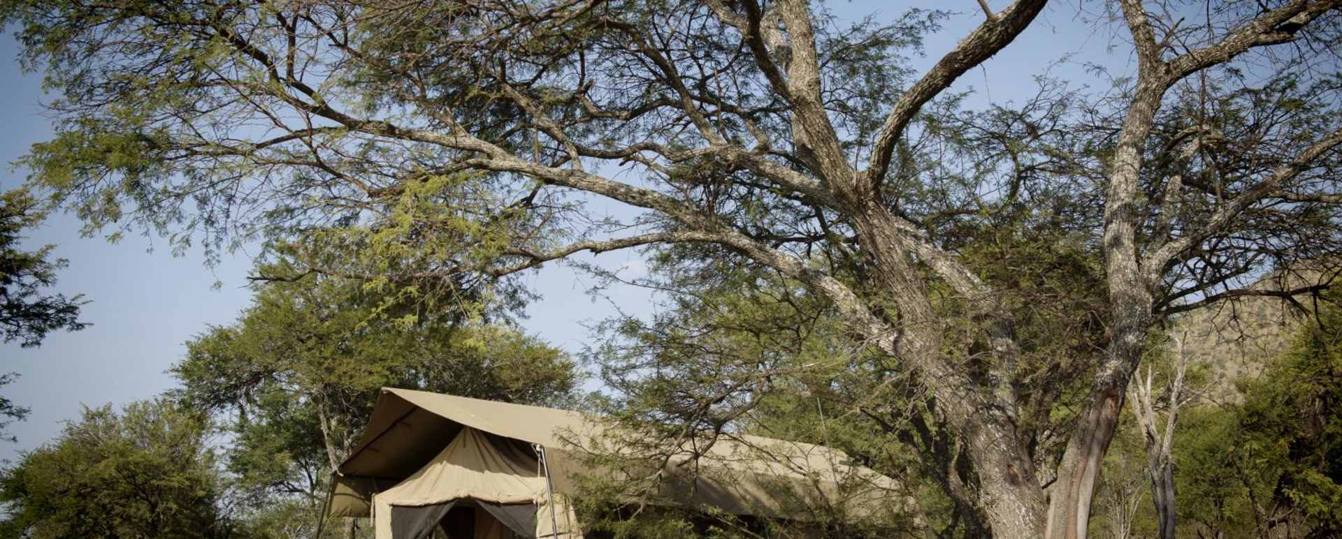 Tent exterior - Dunia Camp