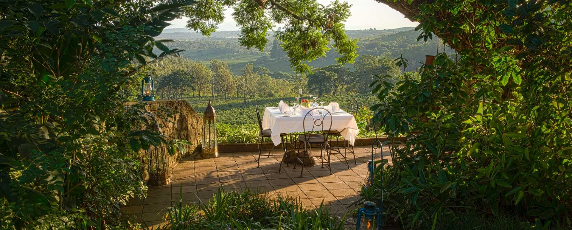 Dining at Gibbs Farm 
