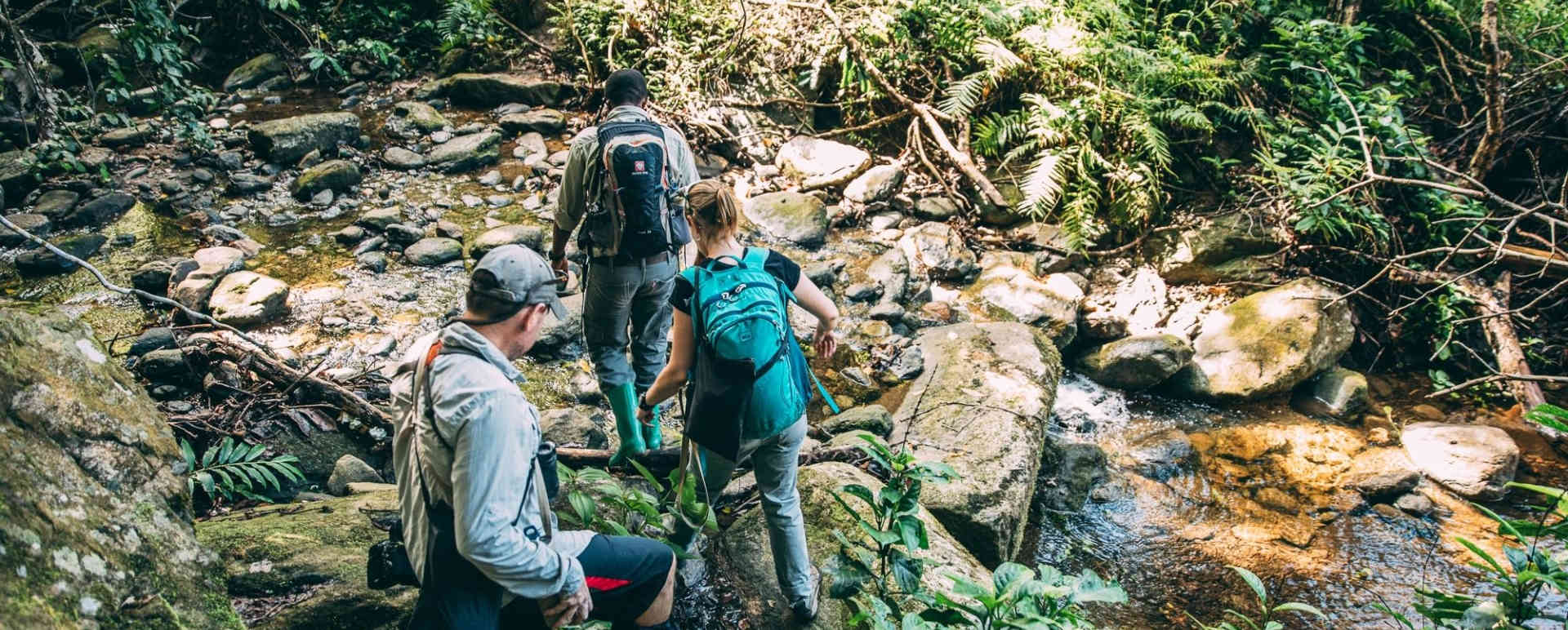 Greystoke Mahale - Forest Walks 