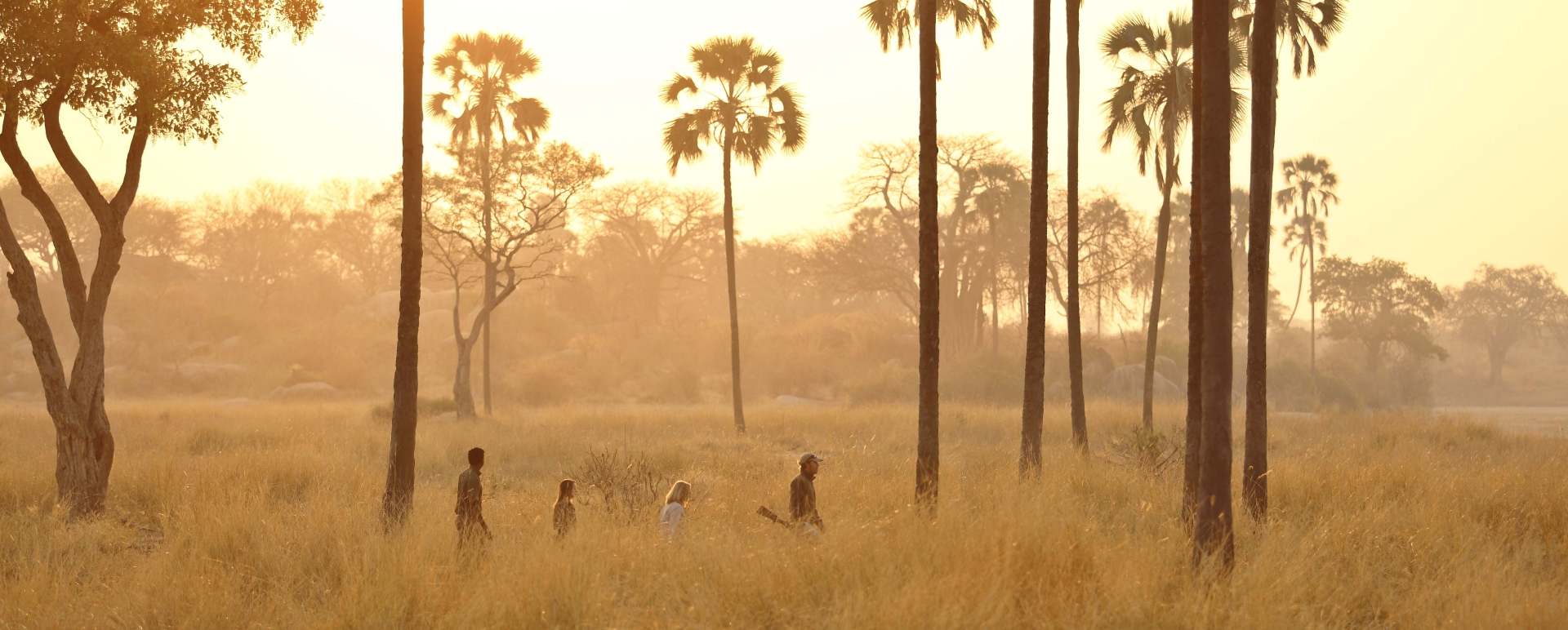 Walking safari - Ikuka Safari Camp 