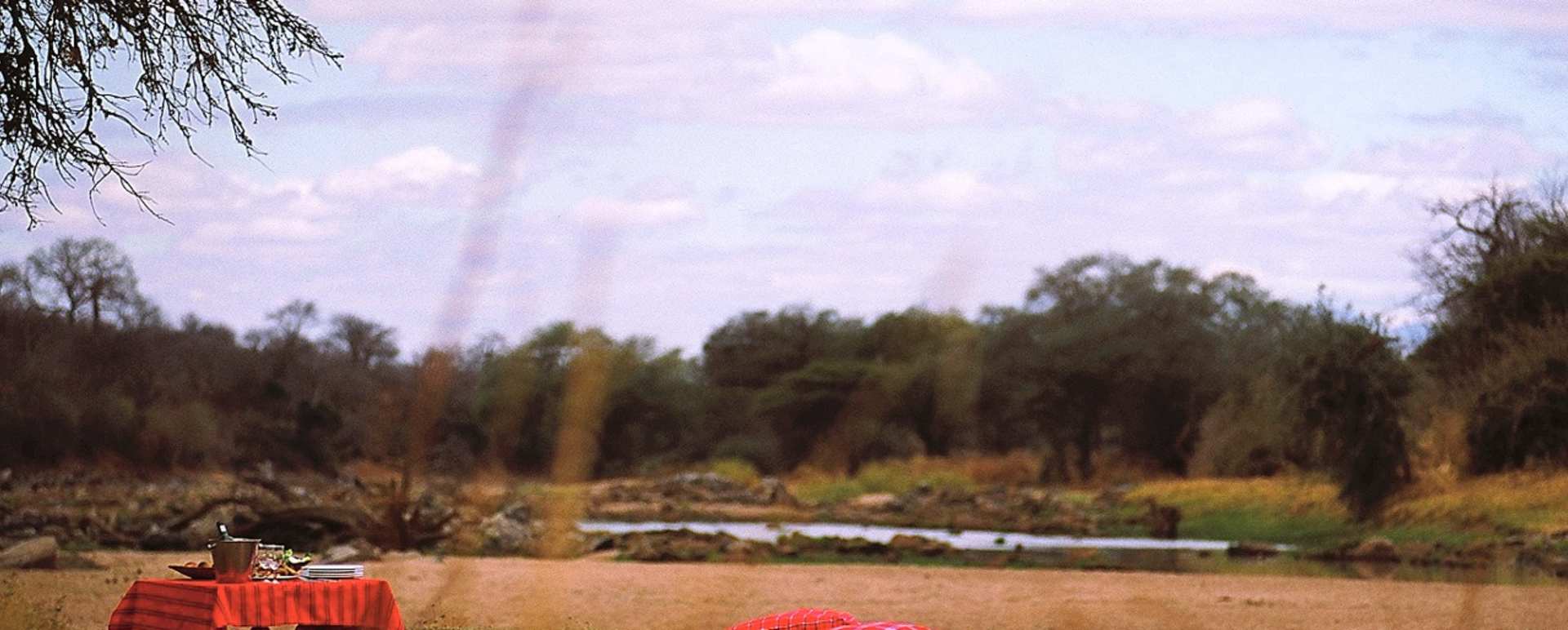 Picnic - Jongomero