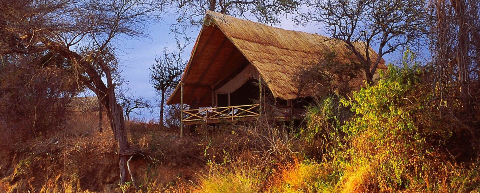 Tent exterior - Jongomero