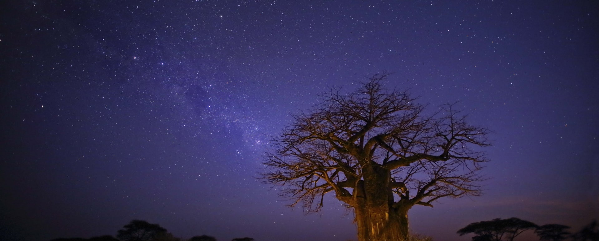 Under the stars  