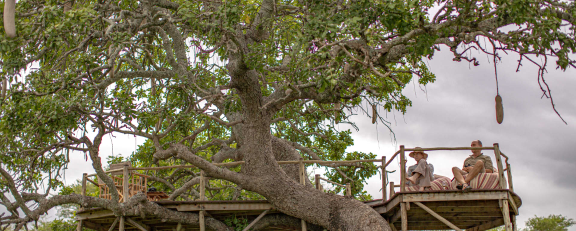 Treehouse lookout 