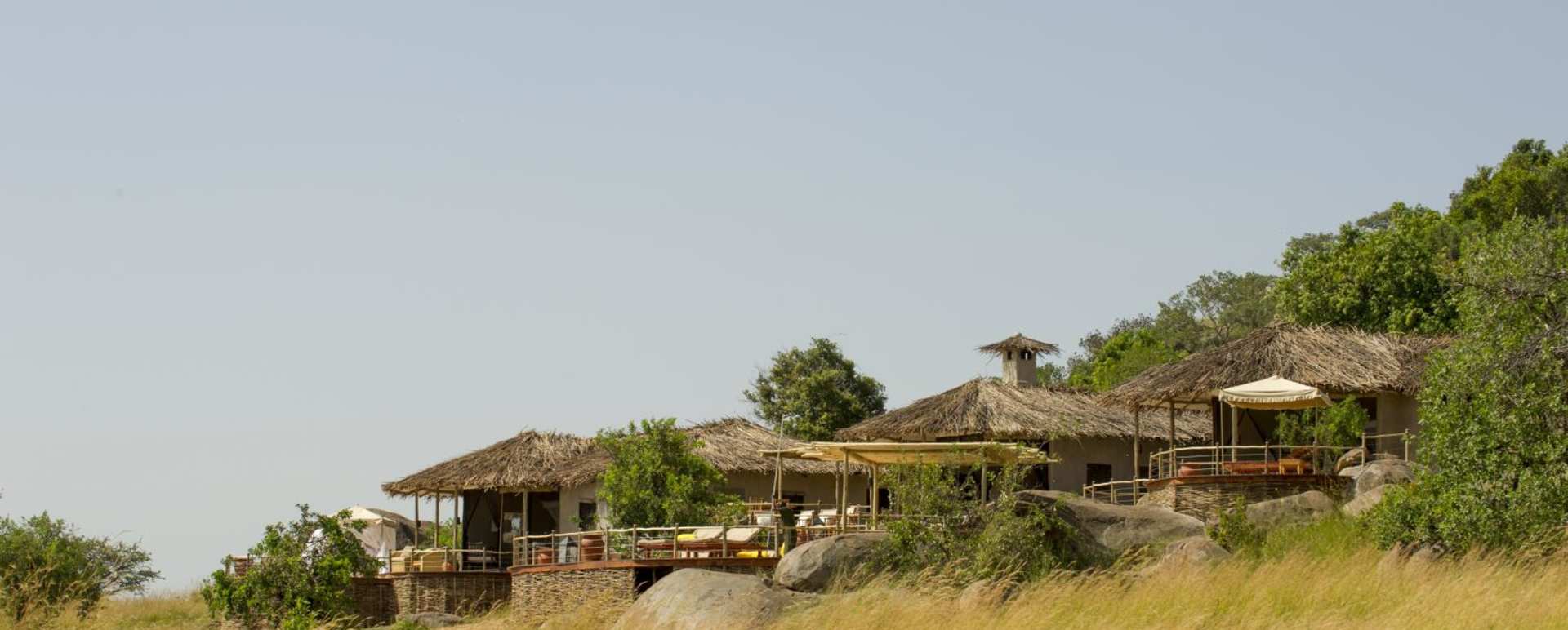 Tucked into the trees - Mkombe's House at Lamai