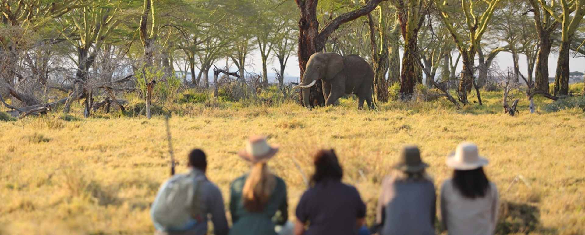 Walking safari at Namiri Plains 