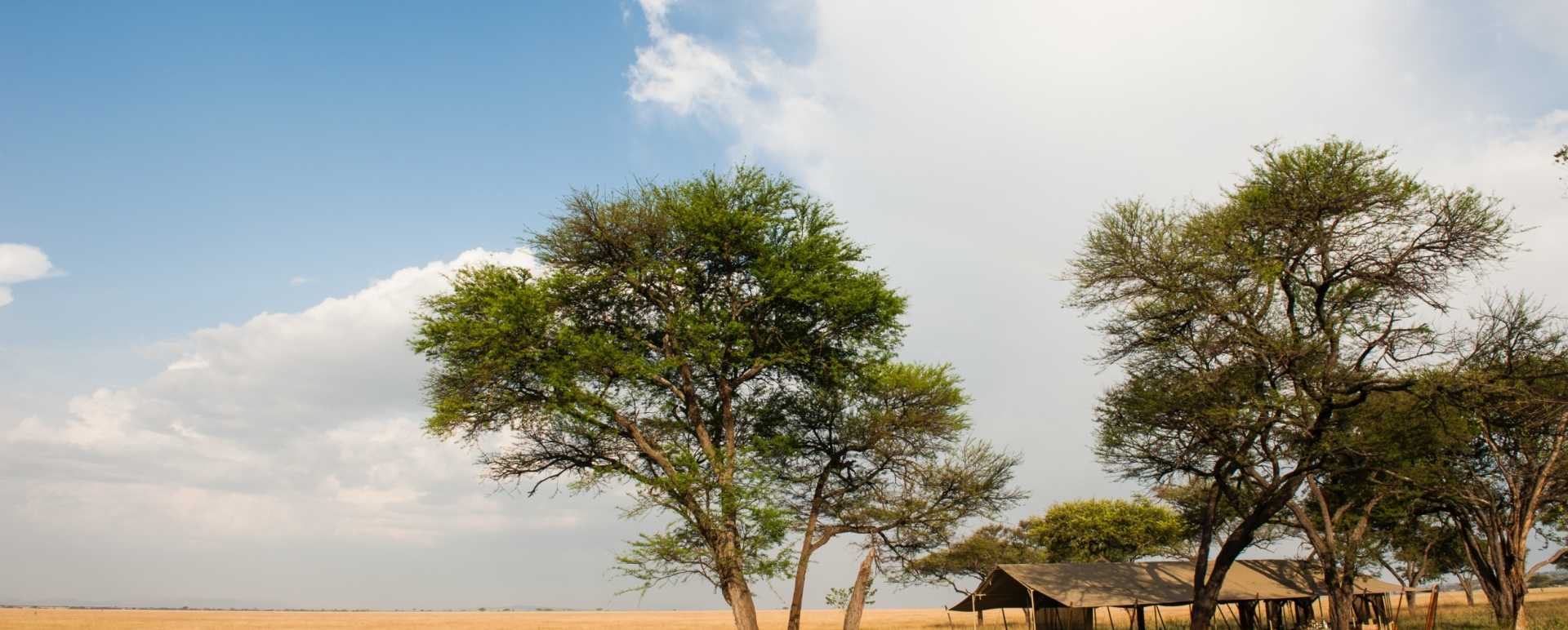 Tented camp 