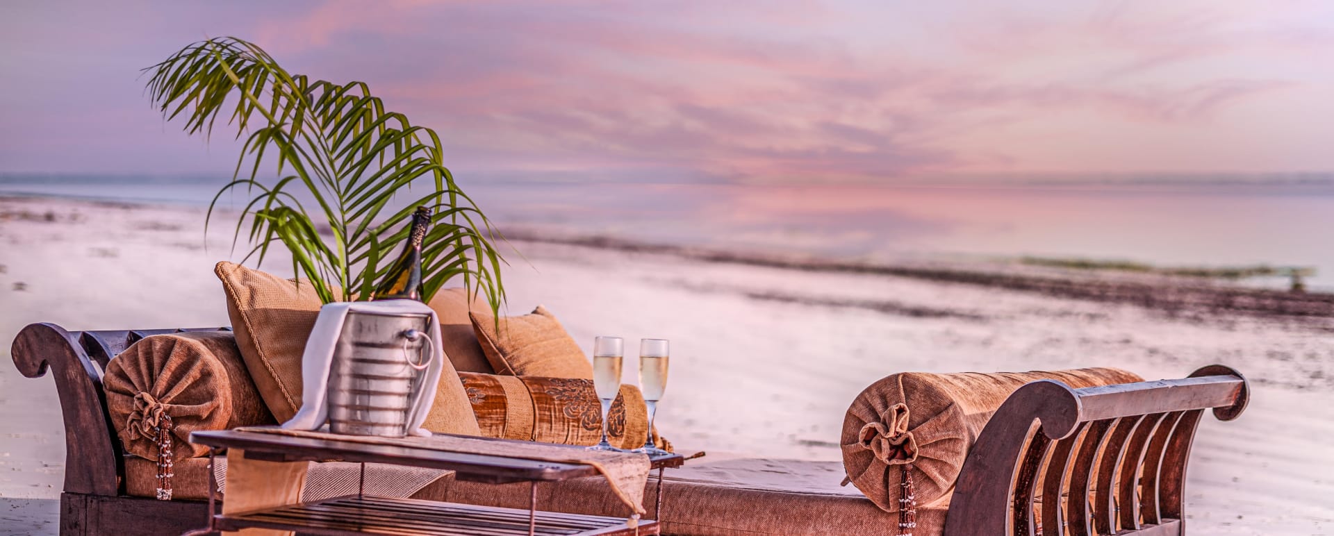 Palms beach  