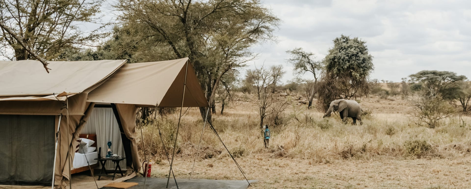 Camp Tent  