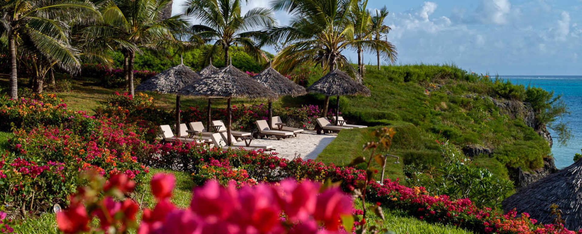 Beach terrace 