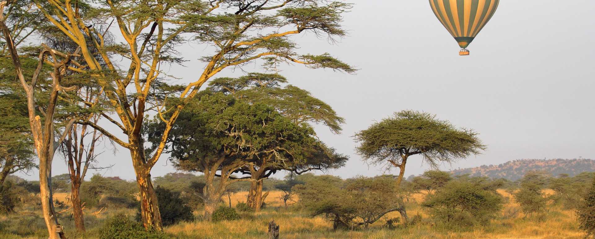 Hot air ballooning over the Serengeti