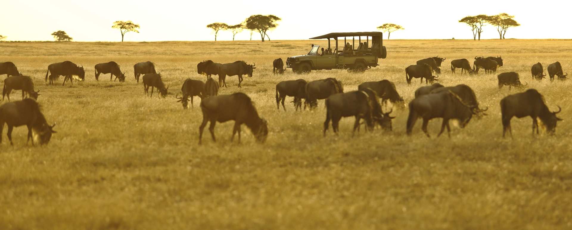 Ubuntu migration camp 