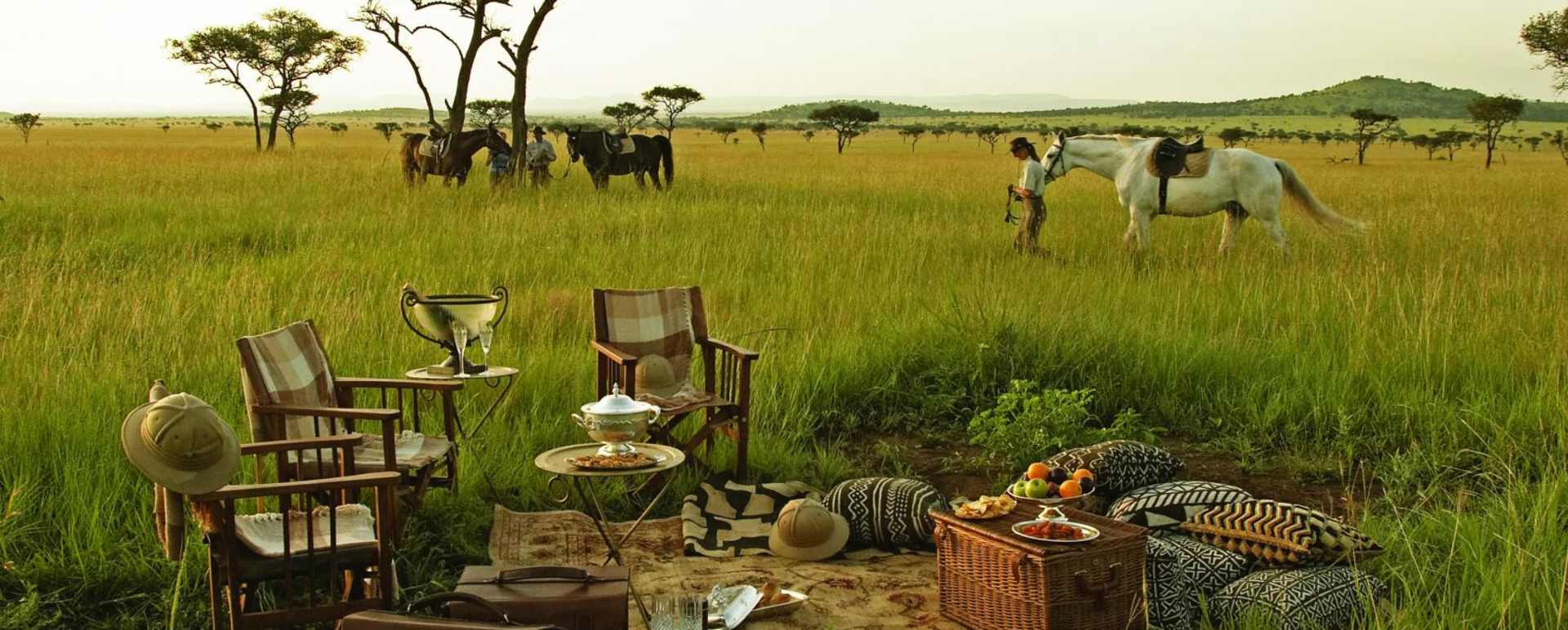 Picnic from Faru Faru Lodge  - Scott Dunn's Flagship Tanzanian Experience