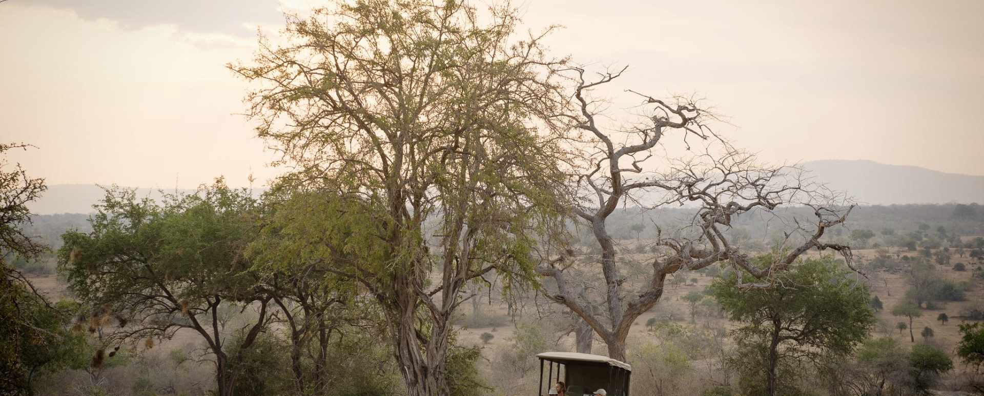 Safari in the Selous 