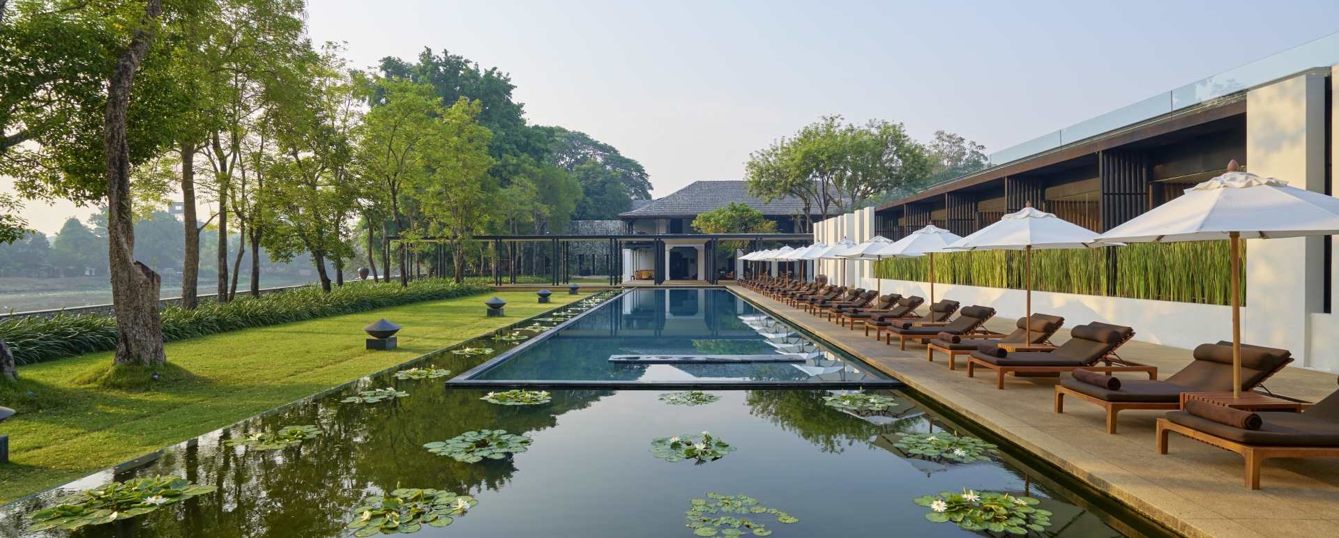 Lotus Pond Pool Anantara Chiang Mai 