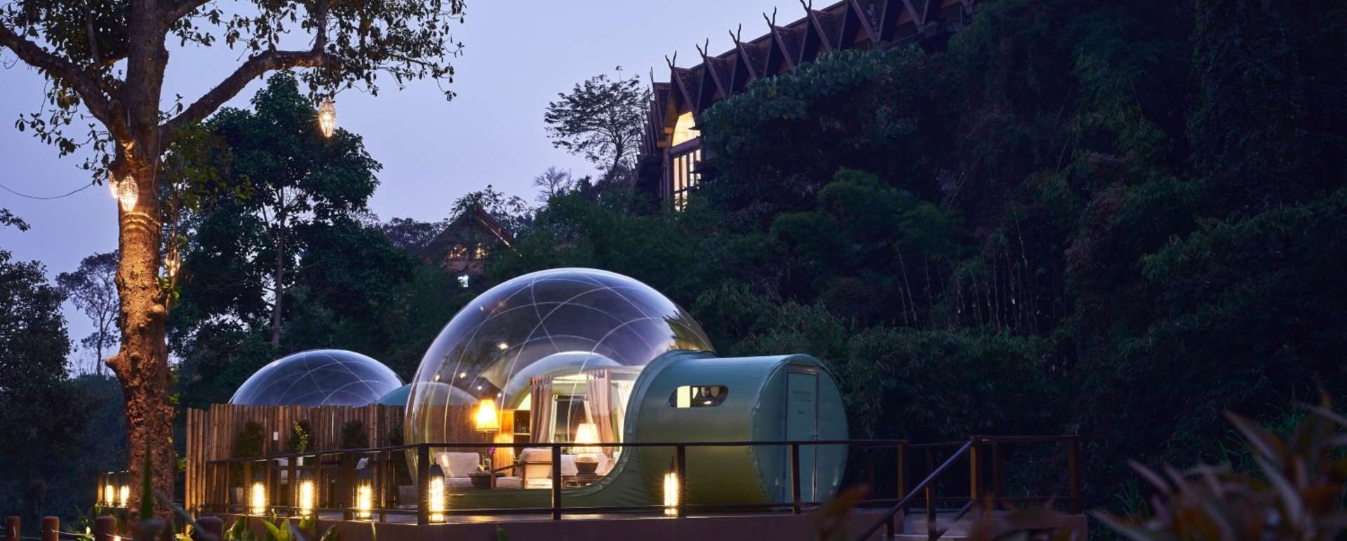 Jungle Bubble at Night 