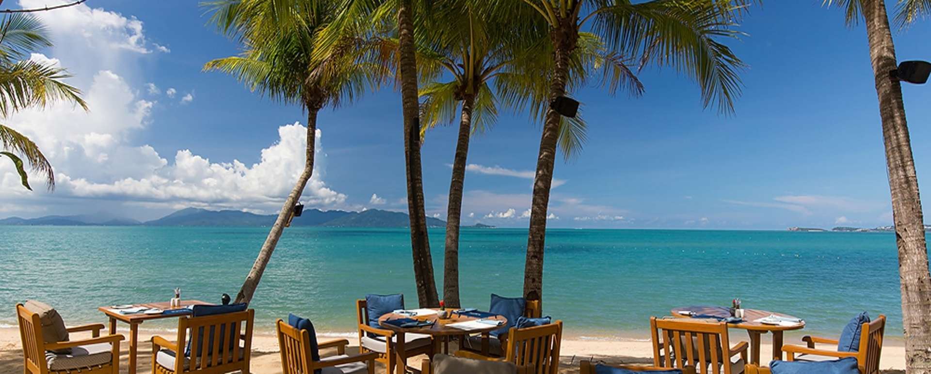 Beach Dining 