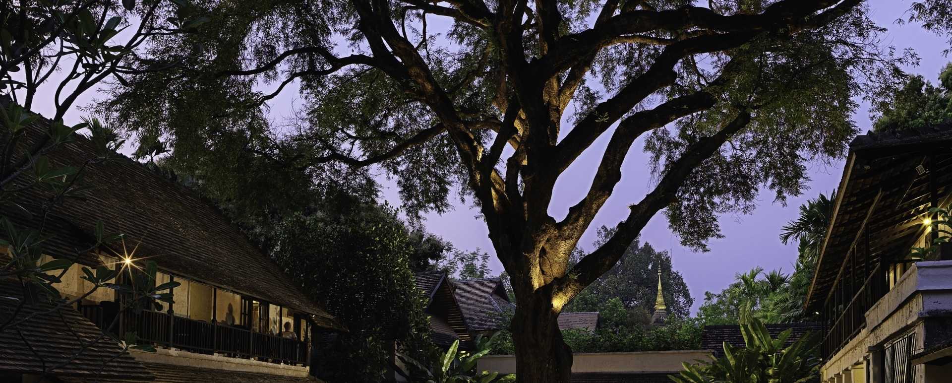 Courtyard - Tamarind Village